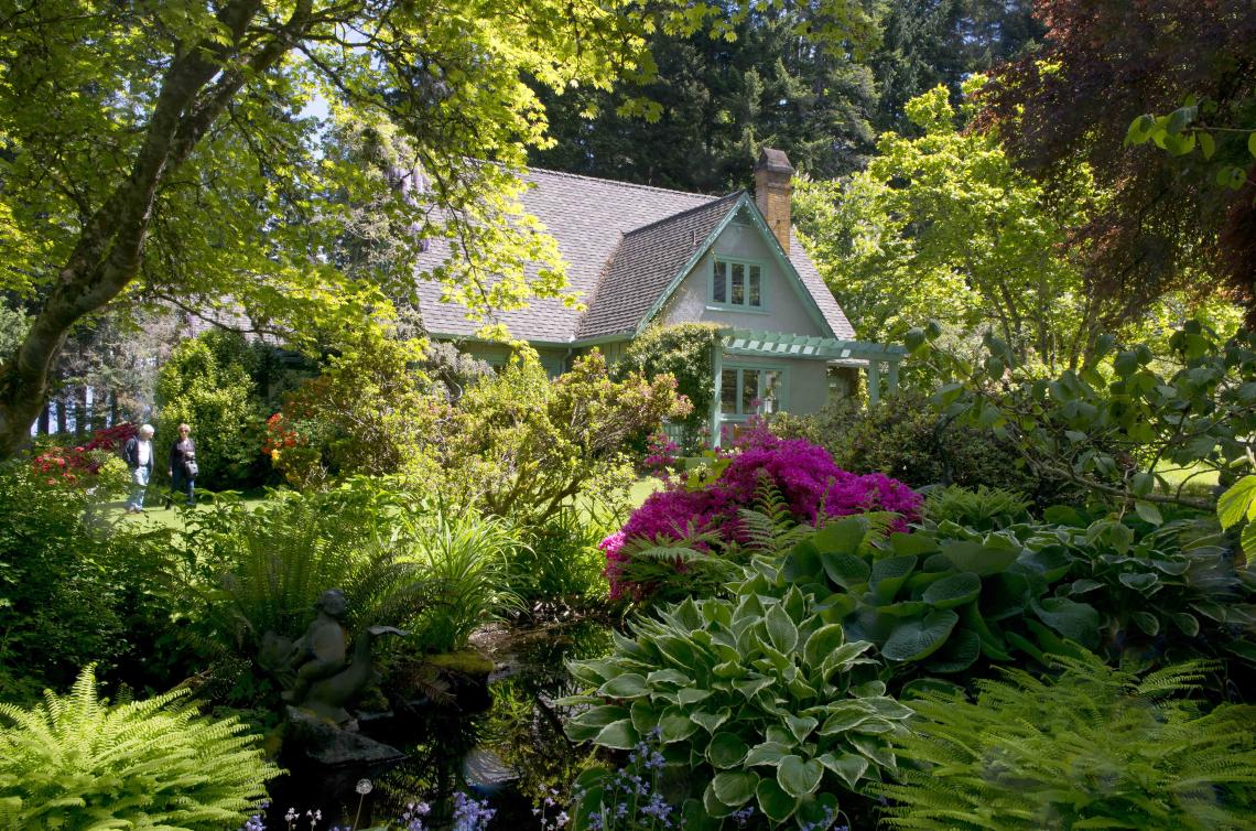 House in background with plants in foreground