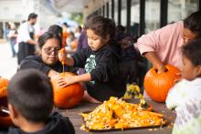 A group of kids carve pumpkins together