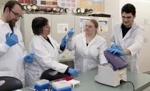 :  From left, Scott Britney, Dr. Mercedes Hernandez, Nicolen Johnson and Andre Gauvin have been conducting antibiotic-resistant gene research to determine how common they are in urban environments. (Please note that this photo was taken prior to the COVID