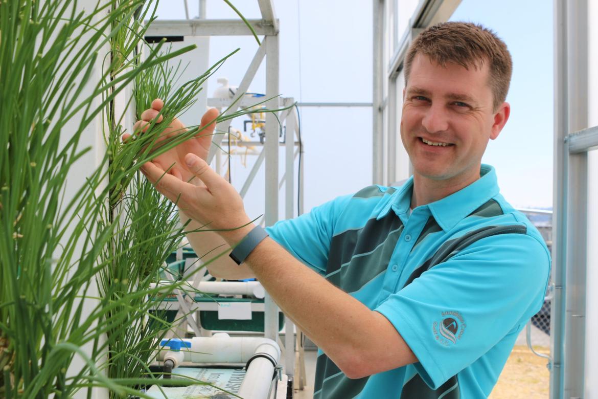 Dr. Dan Baker a VIU Fisheries and Aquaculture Professor, examines some of the produce growing in the aquaponics greenhouse. 